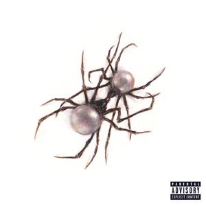 蘑菇🍄视频成人精品网站图标
