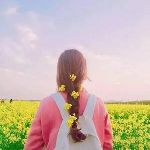 蘑菇🍄视频成人精品网站图标
